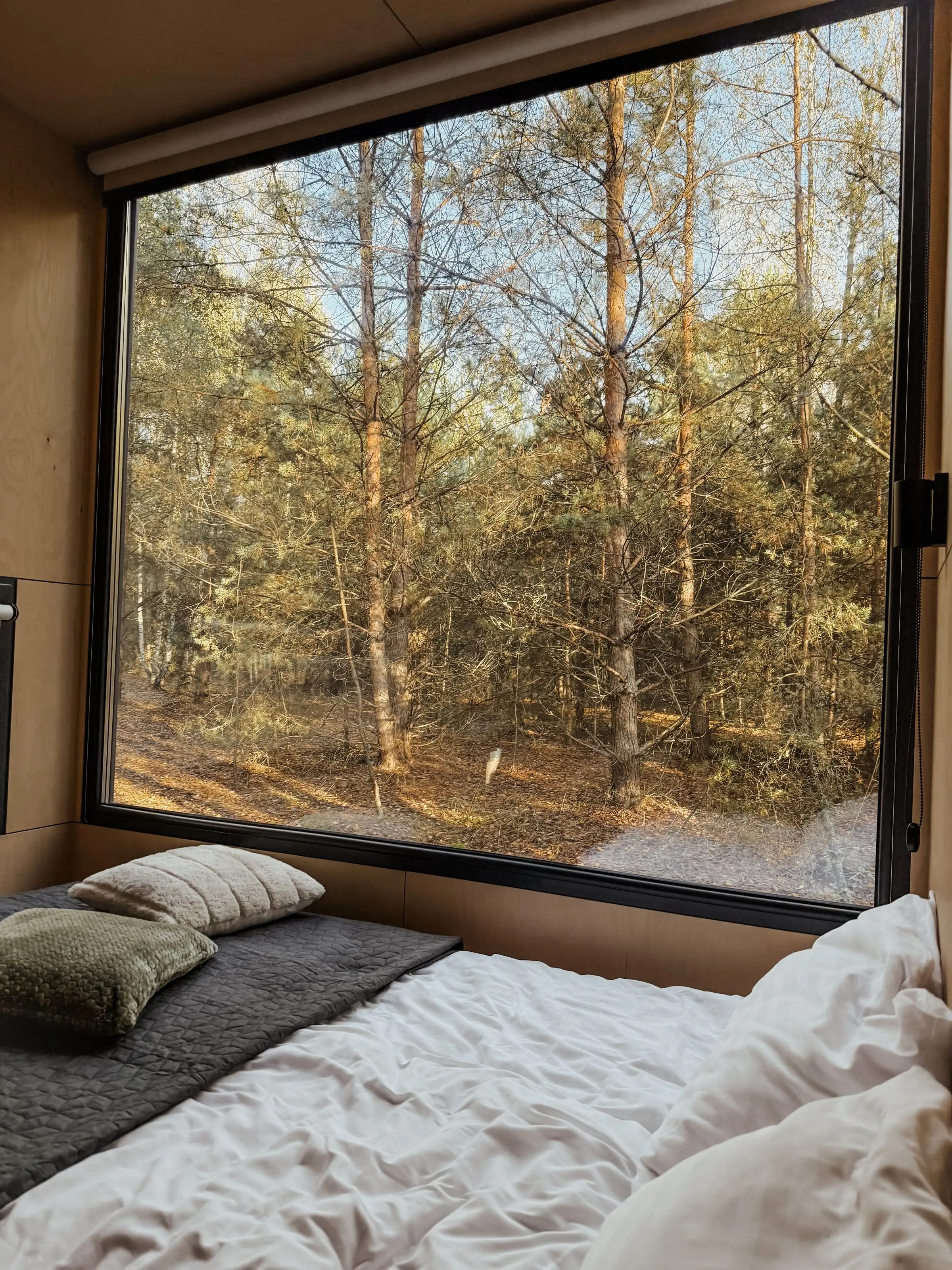 Cama junto a una ventana grande que da al bosque